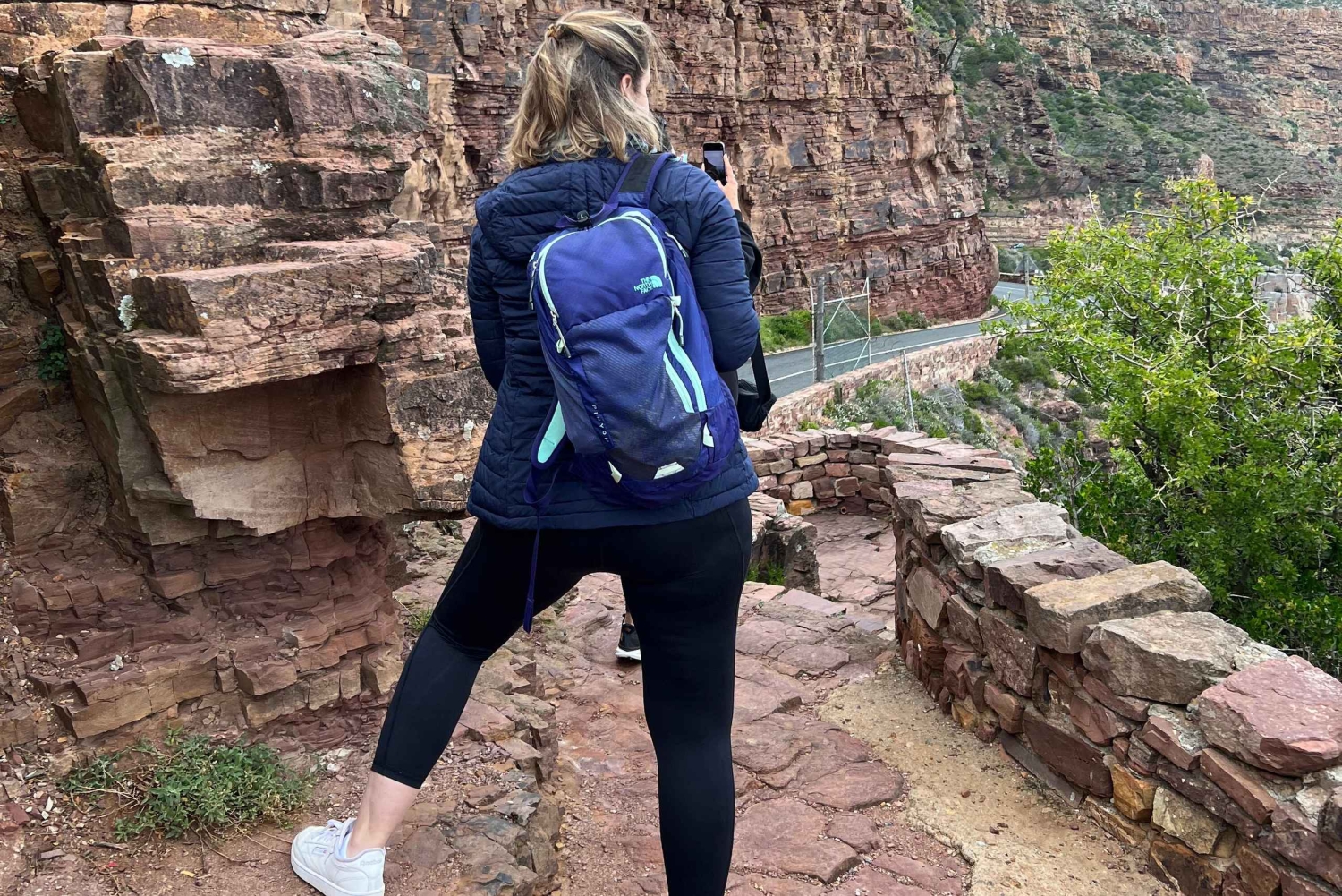 喜望峰、ペンギン、ボカープ、アザラシの1日ツアー