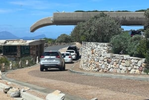 喜望峰、ペンギン、ボカープ、アザラシの1日ツアー