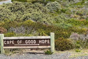 喜望峰、ペンギン、ボカープ、アザラシの1日ツアー