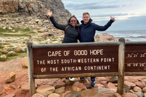 喜望峰、ペンギン、ボカープ、アザラシの1日ツアー