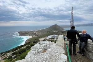喜望峰、ペンギン、ボカープ、アザラシの1日ツアー