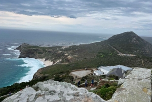 喜望峰、ペンギン、ボカープ、アザラシの1日ツアー