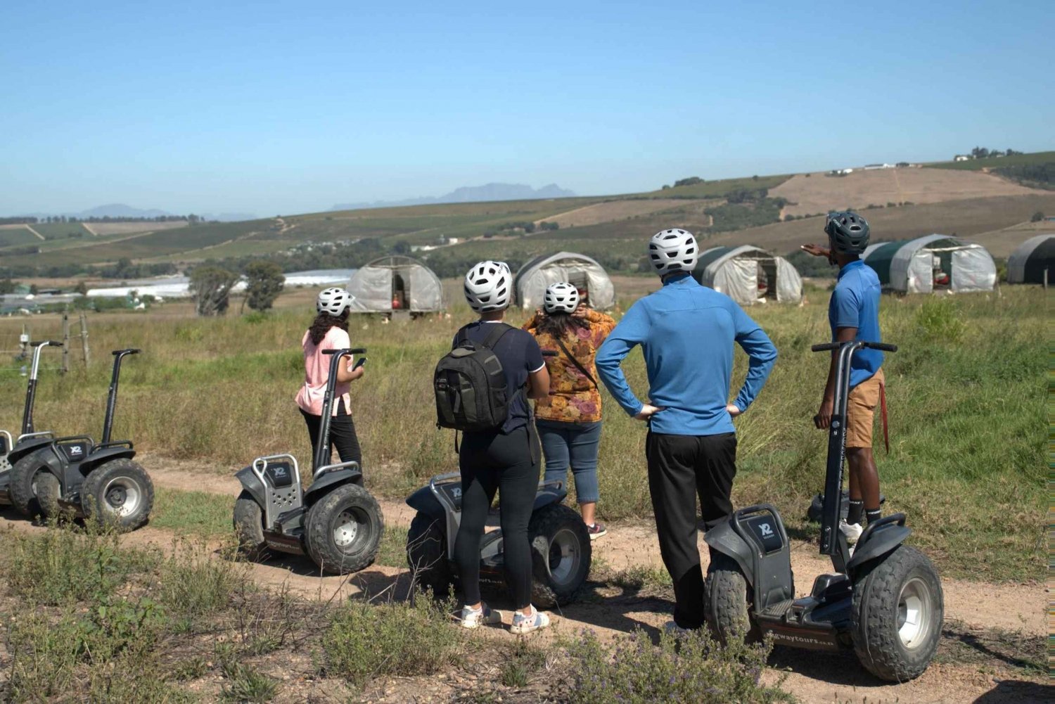 Tour d'avventura completamente inclusivo di Città del Capo e delle Winelands