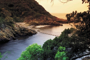 From Cape Town: 5-Day Best of Garden Route and Addo Safari