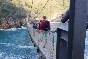 From Cape Town: 5-Day Best of Garden Route and Addo Safari