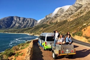 Garden Route and Addo Elephant National Park: 5-Day Safari