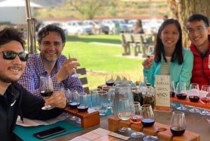 Garden Route and Addo Elephant National Park: 5-Day Safari