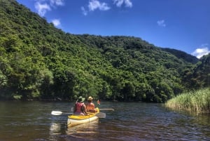 Garden Route and Addo Elephant National Park: 5-Day Safari