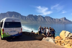 Garden Route and Addo Elephant National Park: 5-Day Safari