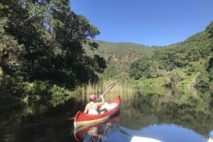 Kaapstad: Tuinroute en Addo Olifantenpark 6-daagse safari