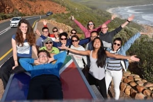 Garden Route and Addo Elephant National Park: 6-Day Safari