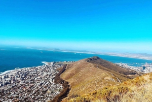 Garden Route: Cape Town To Addo Elephant NP