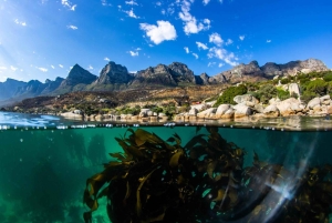 Snorkling i den stora afrikanska sjöskogen