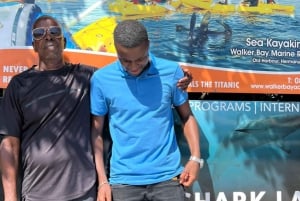 Oplevelse med dykning i bur med hvidhaj: Cape Town 6 timer