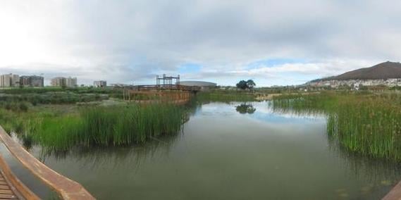 Green Point Urban Park