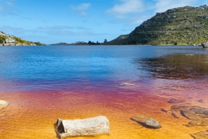 Guided Forest Hike Tour on Table Mountain, Cape Town