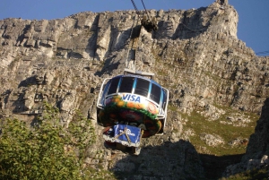 Guided Forest Hike Tour on Table Mountain, Cape Town