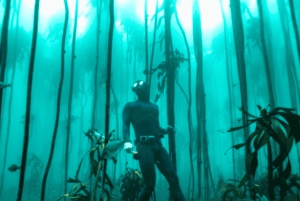 Experiencia de esnórquel guiada: el bosque marino africano