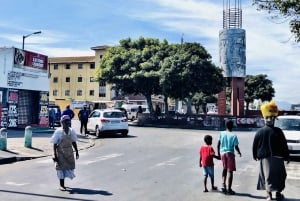 Excursão de meio dia pelo município da Cidade do Cabo