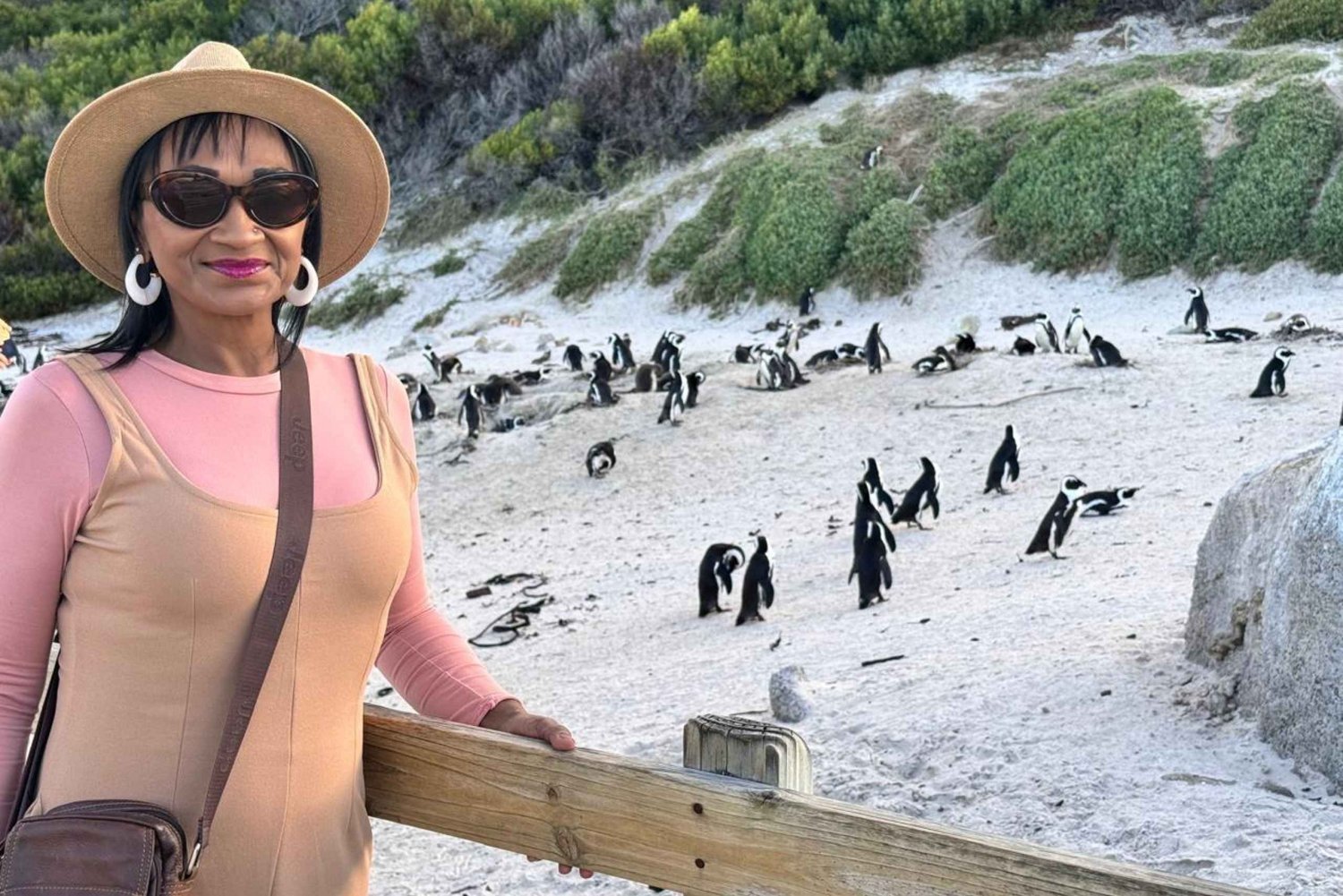 Cidade do Cabo: Excursão privada de meio dia à Montanha da Mesa e aos Pinguins