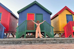 Cidade do Cabo: excursão de meio dia à Table Mountain e ao Penguin Group
