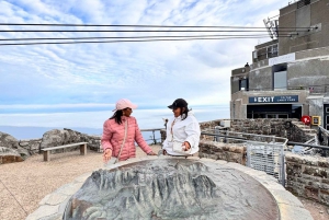 Cidade do Cabo: excursão de meio dia à Table Mountain e ao Penguin Group