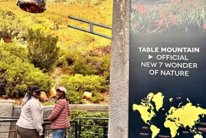 Cidade do Cabo: excursão de meio dia à Table Mountain e ao Penguin Group