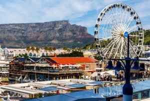 Halvdagstur til Robben Island med privat omvisning tur/retur