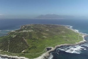 Halvdagstur til Robben Island med privat omvisning tur/retur
