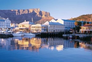 Halvdagsutflykt till Robben Island med privat tur-och-retur-transfer