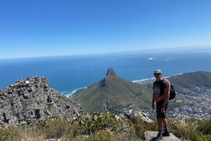 Half-Day Rock Climbing on Table Mountain