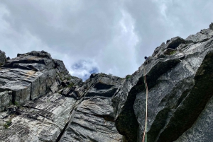 Halve dag rotsklimmen op de Tafelberg