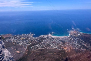 Half-day Table Mountain Hiking Tour with Guide in Cape Town
