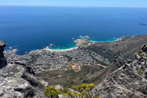 Half-day Table Mountain Hiking Tour with Guide in Cape Town