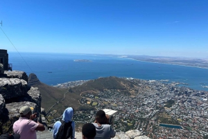 Half-day Table Mountain Hiking Tour with Guide in Cape Town