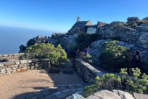 Half-day Table Mountain Hiking Tour with Guide in Cape Town