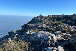 Half-day Table Mountain Hiking Tour with Guide in Cape Town