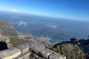 Half-day Table Mountain Hiking Tour with Guide in Cape Town