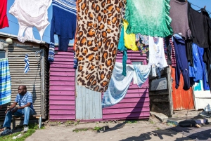 Half-Day Tour Through Cape Town's Townships