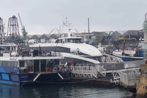Excursão de meio dia para Robben Island com ingresso pré-reservado