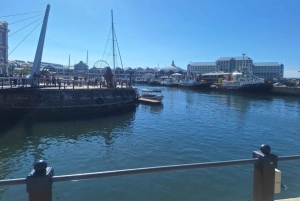 Excursão de meio dia para Robben Island com ingresso pré-reservado