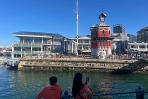 Excursão de meio dia para Robben Island com ingresso pré-reservado