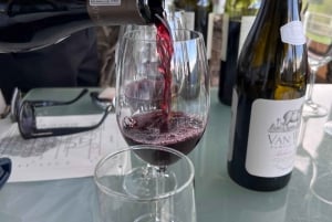 Il tram del vino di Franschhoek e l'esperienza della città di Stellenbosch