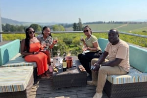 Il tram del vino di Franschhoek e l'esperienza della città di Stellenbosch