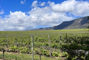 Franschhoekin viiniraitiovaunu & Stellenboschin kaupunkikokemus