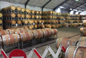 Винный тур и сафари на полдня (утром или днем)