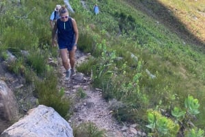 Helderberg West Peak: excursión guiada por los pintorescos viñedos del Cabo