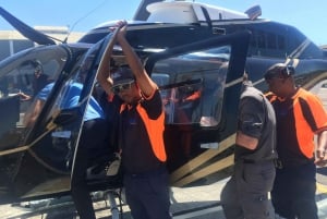 Voo panorâmico de helicóptero na Cidade do Cabo 20 minutos