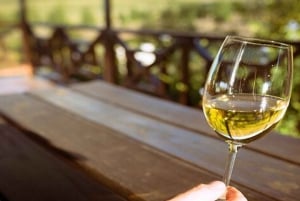 Hermanus Whale Watching and Winelands Private heldagstur