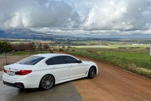 Hermanus Whale Watching and Winelands Private heldagstur